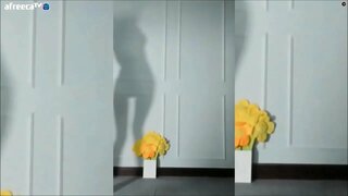 ���ह छाया