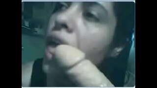 Cornea magister Daniela gallus potator